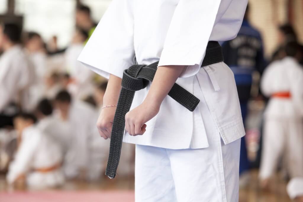 Karate Banner