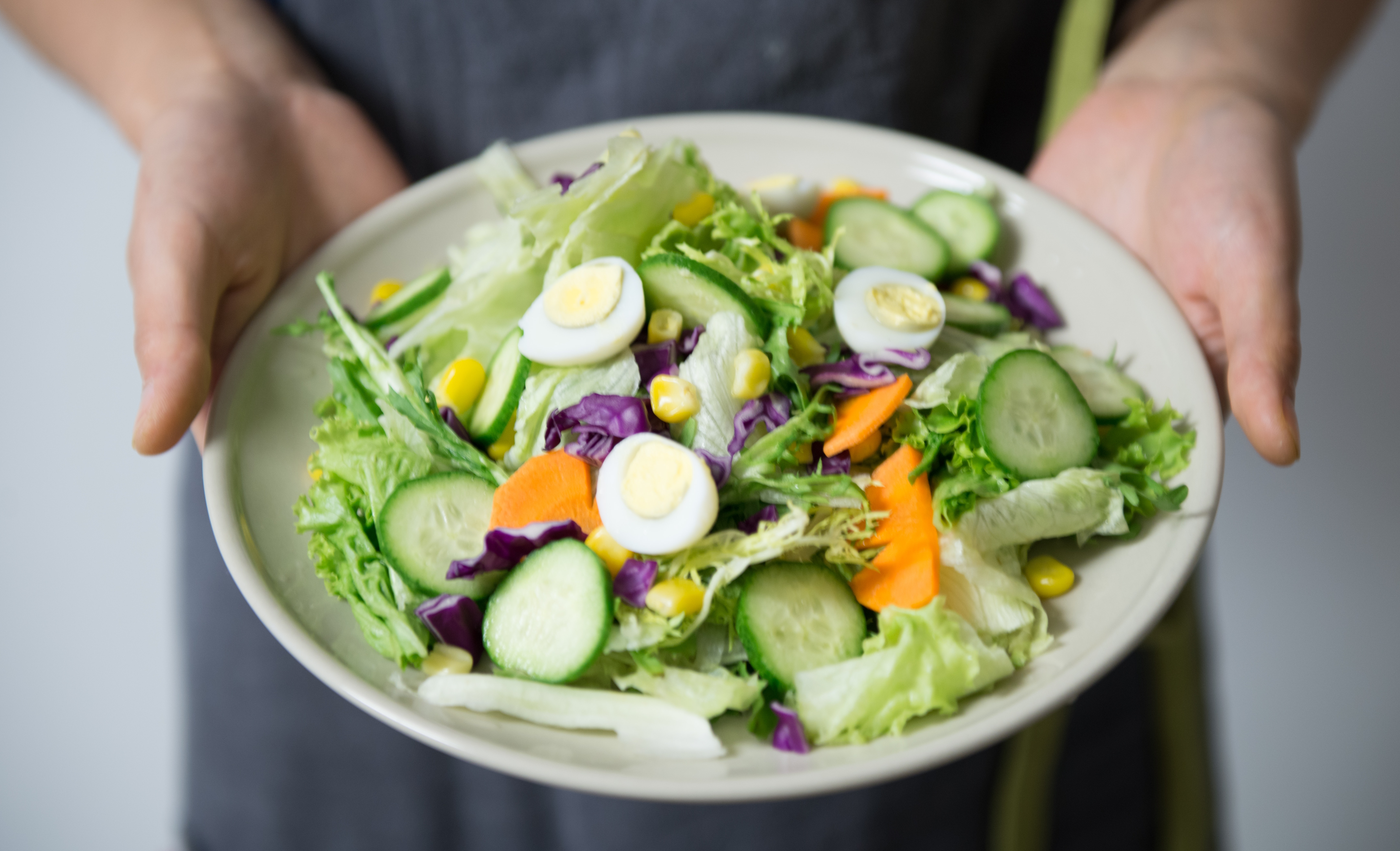 Starting a nutrition program at your fitness centre